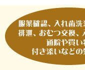 服薬確認、入れ歯洗浄、着替え、排泄、おむつ交換、入浴の援助、通院や買い物の付き添いなどの外出援助