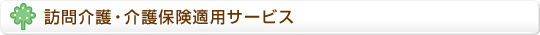 訪問介護・介護保険適用サービス
