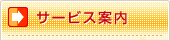 �T�[�r�X�ē�