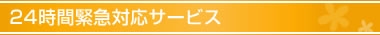 24���ԋً}�Ή��T�[�r�X