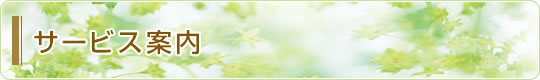 �T�[�r�X�ē�