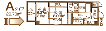 Aタイプ 29.70u