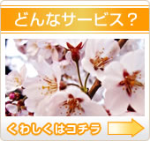 どんなサービス?
くわしくはコチラ